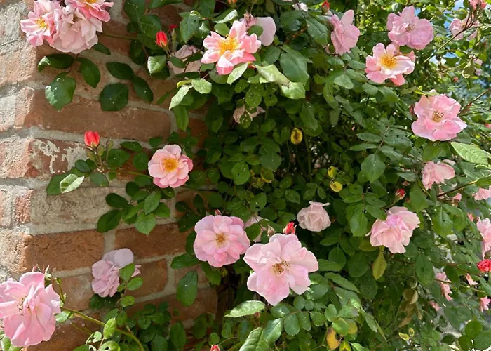 Bed & Breakfast Casaforte La Bastide