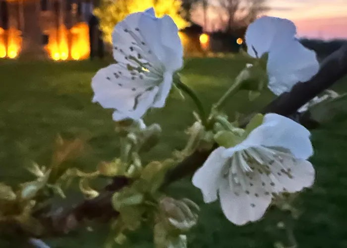 Bed & Breakfast Casaforte La Bastide
