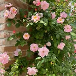 Bed & Breakfast Casaforte La Bastide