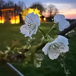 Bed & Breakfast Casaforte La Bastide