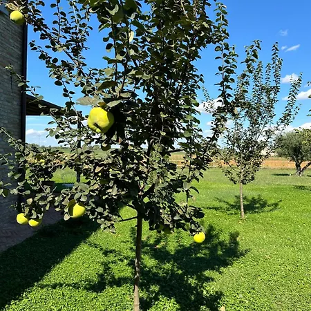 Bed & Breakfast Casaforte La Bastide Ferrara