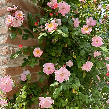 Bed & Breakfast Casaforte La Bastide