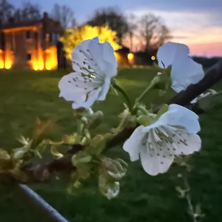 فندق مبيت وإفطار Casaforte La Bastide