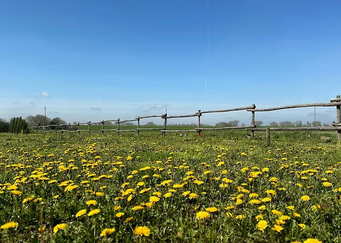 Casaforte La Bastide Nocleg ze śniadaniem Ferrara