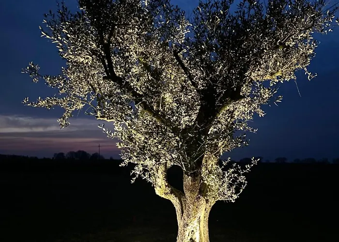 Casaforte La Bastide 4* フェラーラ