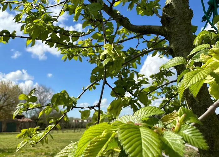 Casaforte La Bastide Nocleg ze śniadaniem Ferrara