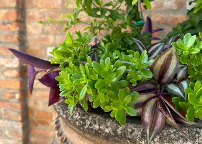 Casaforte La Bastide フェラーラ